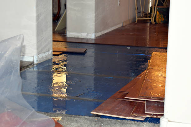 Professional Burst Pipe Cleanup technician working in Huntsville, MO